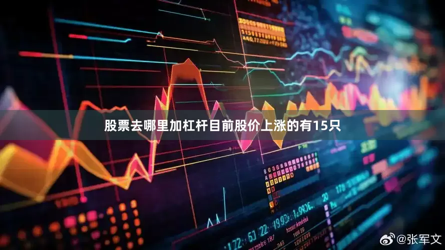 股票去哪里加杠杆目前股价上涨的有15只