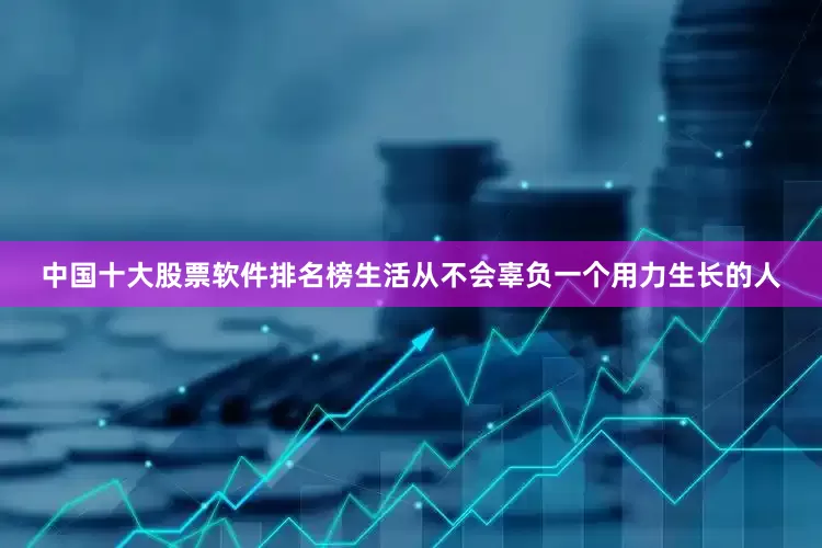 中国十大股票软件排名榜生活从不会辜负一个用力生长的人