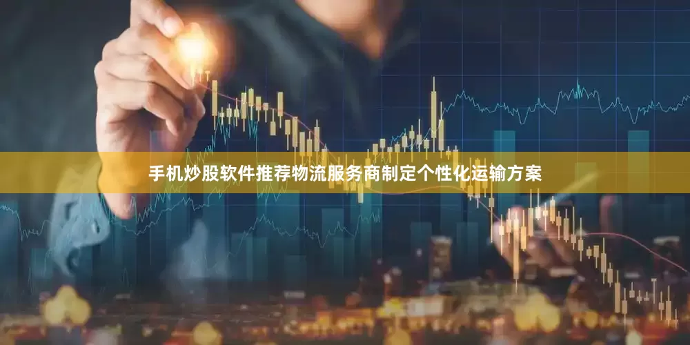 手机炒股软件推荐物流服务商制定个性化运输方案